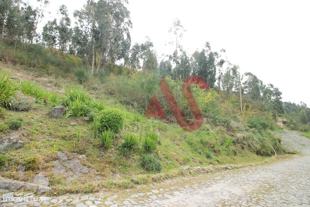 Terreno florestal com 46.000 m2 em Santa Eulália, Vizela