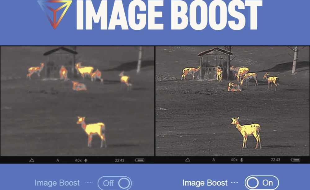 Тепловізійний бінокль з лазерним дальноміром Pulsar Accolade2 XP50PRO