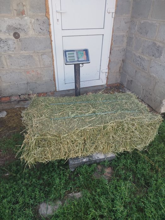Продам сіно люцерна