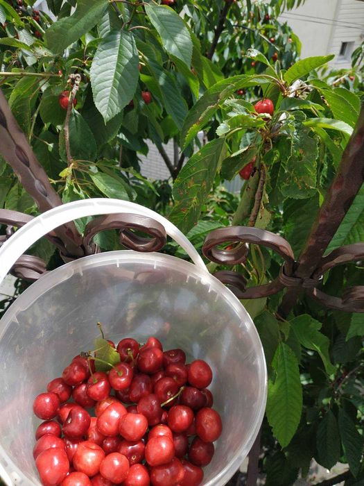 Дом по адресу (площадь 273,8 м²) - Atlanta.ua - фото 19