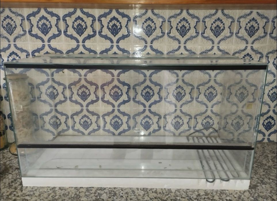 Terrario 80*40*35