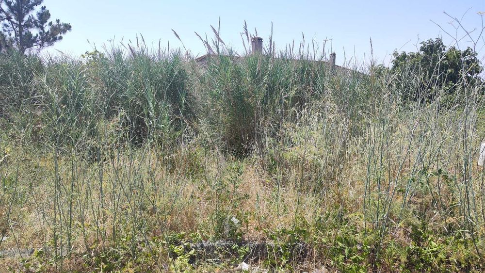 Lote terreno urbano 555m2