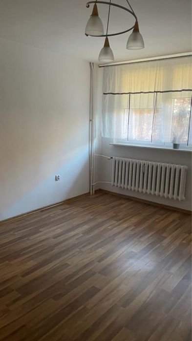 Zdjęcie 4