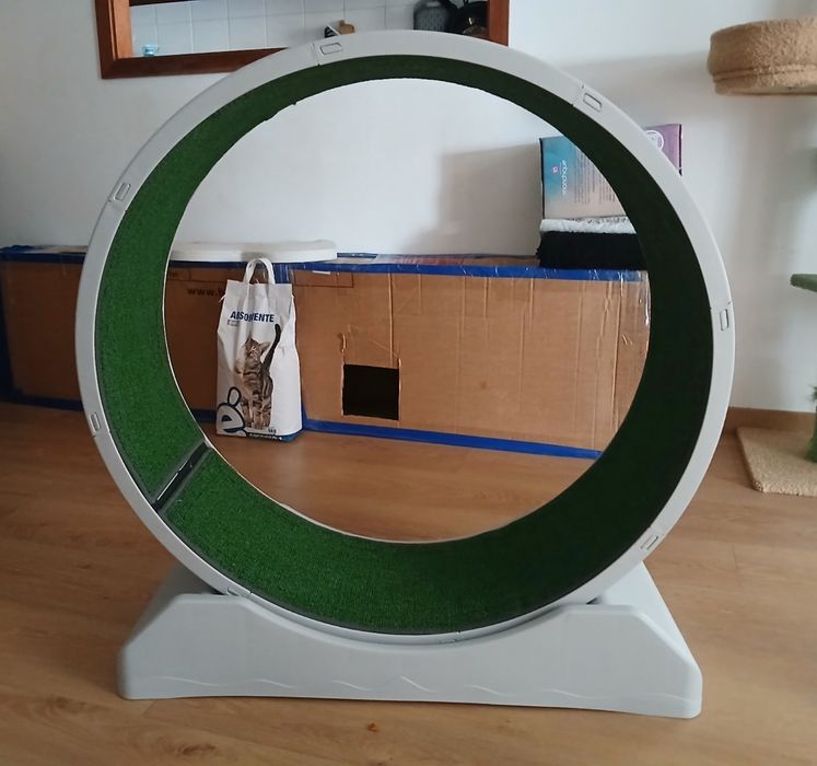 Roda Para Gatos como Novo