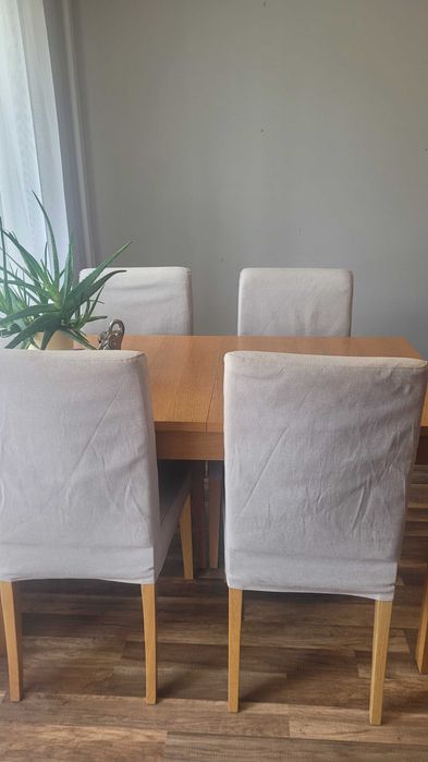 3 pokoje, parter, Zacisze Zielona Góra
