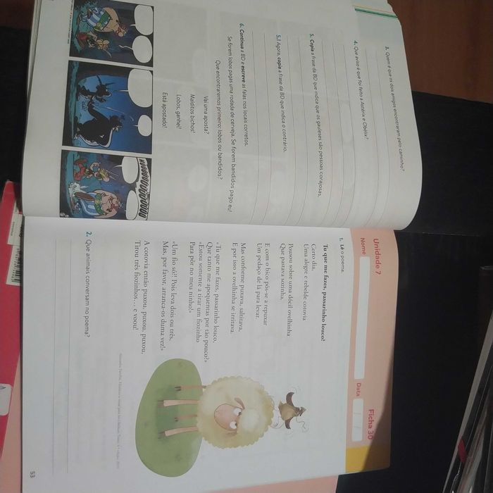 Caderno de fichas Plim português 2o