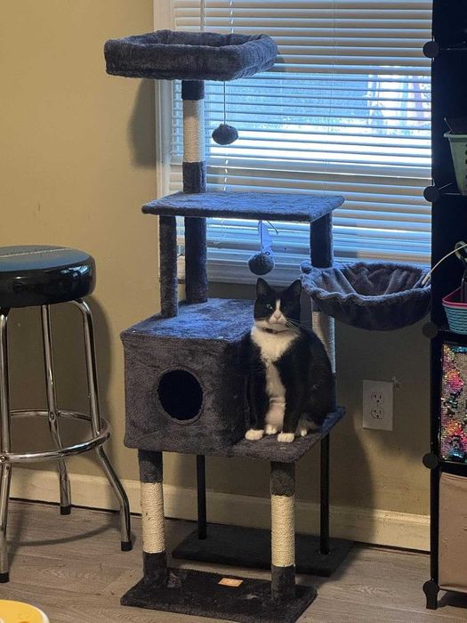 Drapak dla kota wysoki 125cm Domek Hamak Legowisko Szary NOWY