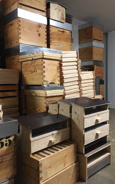 Colmeias reversível, Langstroth ou Lusitana. Apicultura