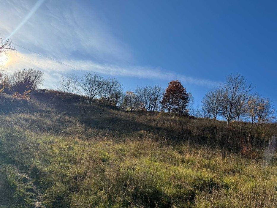 Продам унікальну ділянку зі ставком с. Грушово (Закарпаття) 0,48 га.