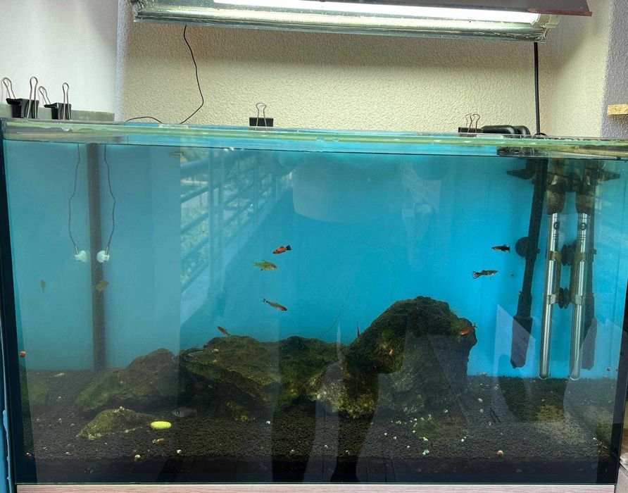 Aquario 135L feito por medida