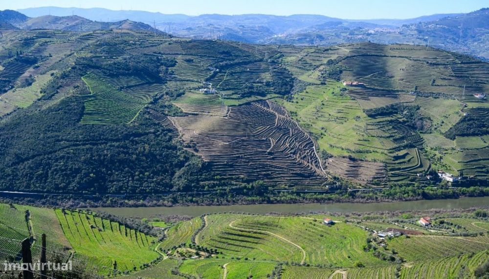 Quinta vínicola à venda no Peso da Régua no Douro Valley
