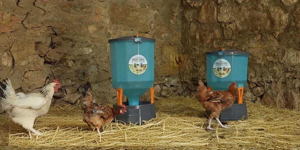 Poidło dla kur automatyczne KOLOSS z przezroczystym zasobnikiem