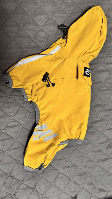 Дощовик для малих порід собак