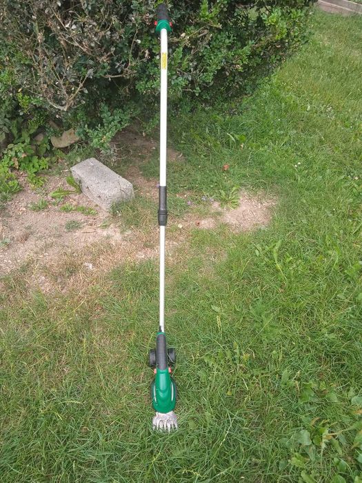 Кущоріз акумулятоний