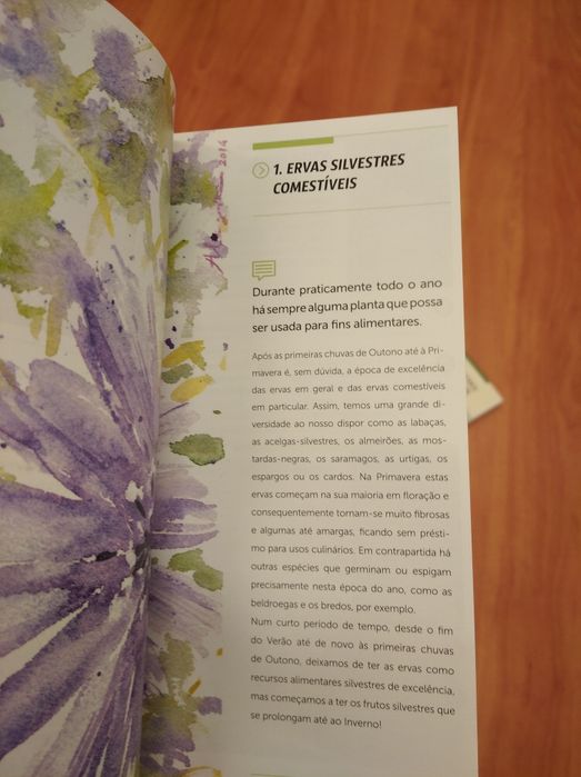 2 Guias práticos "Ervas silvestres" e "Frutos silvestres comestíveis "