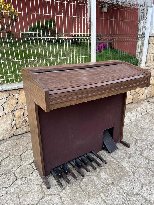 Órgão Viscount RBX 950