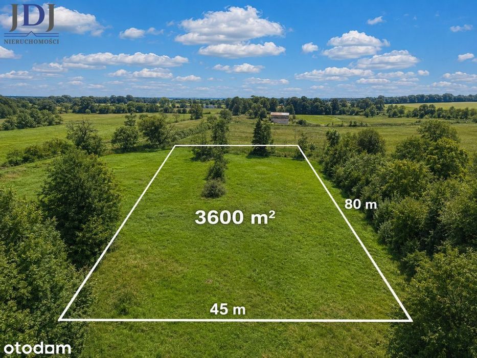 Działka 3600 m2. Łąka kl III. Wola Gródecka