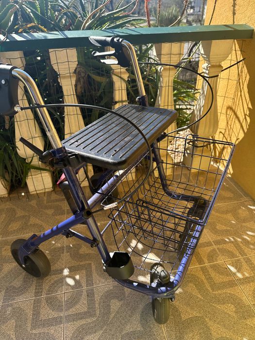 Andarilho com rodas novo