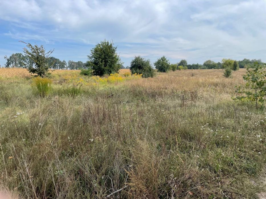 Продам земельну ділянку