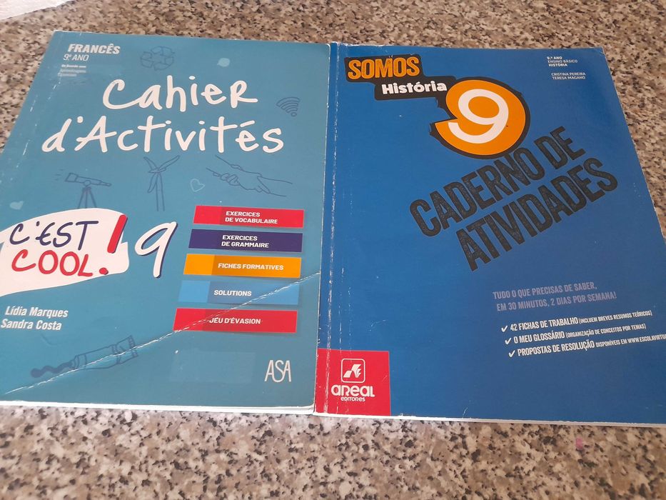 Caderno de atividade 9.ano