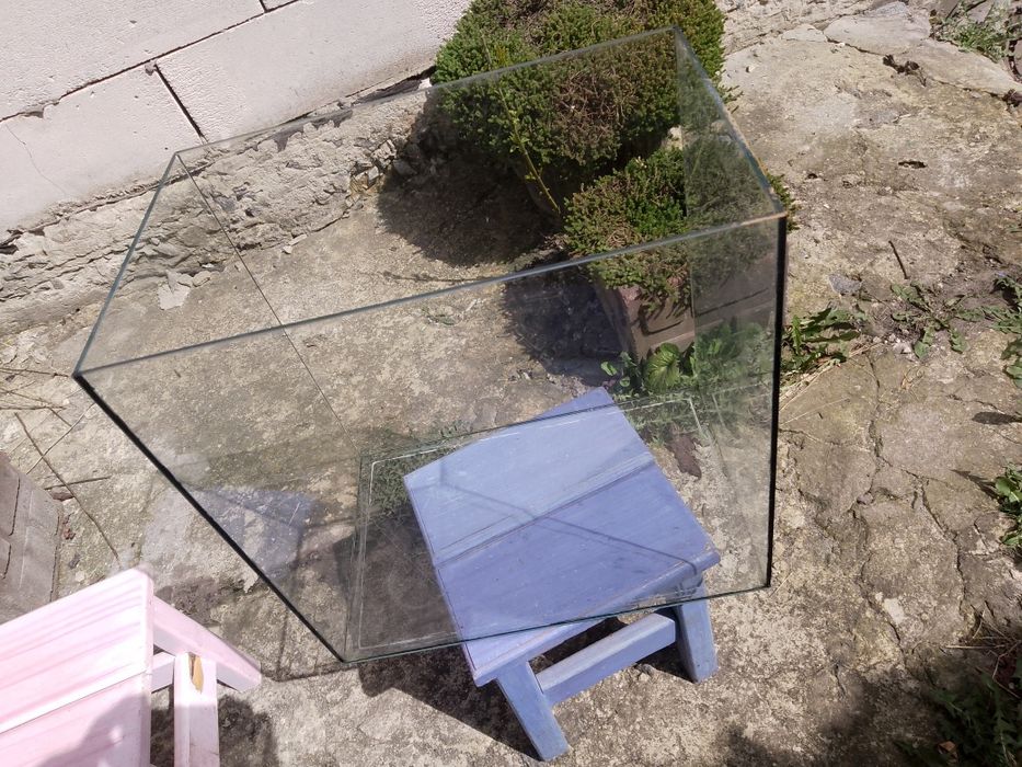 Малий акваріум для рибок