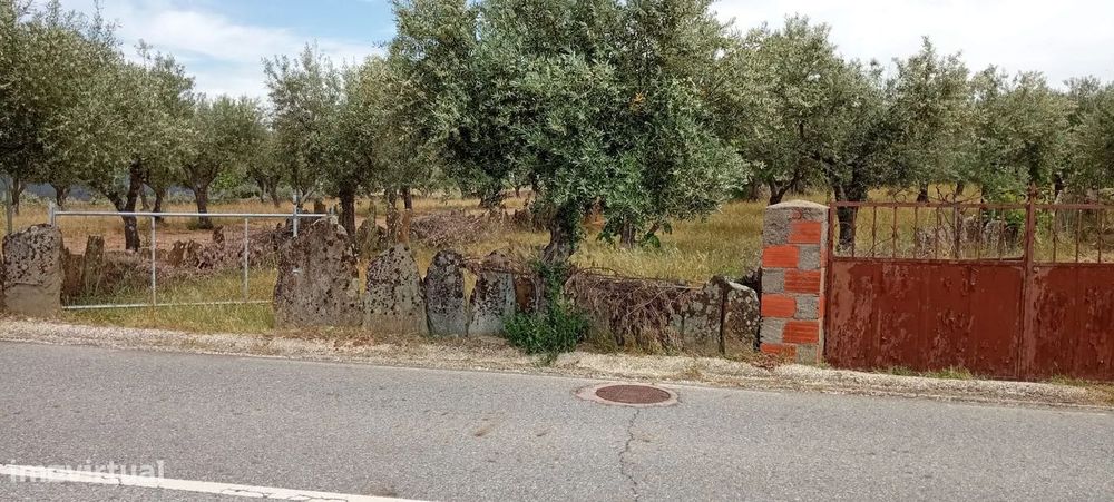 Terreno 4250m2 ,Lentiscais, Castelo Branco