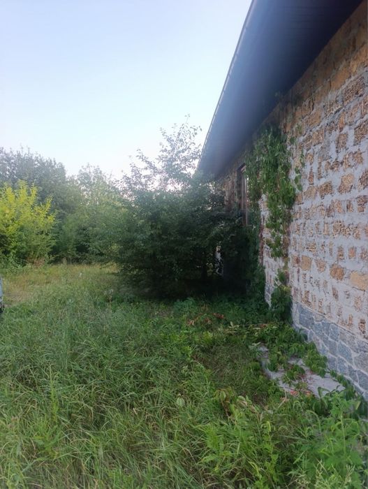 Розчистка ділянок під будівництво, продаж або город
