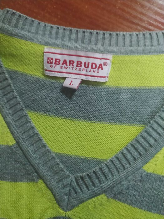 Чоловічий реглан  салатово-сірого кольору в полоску