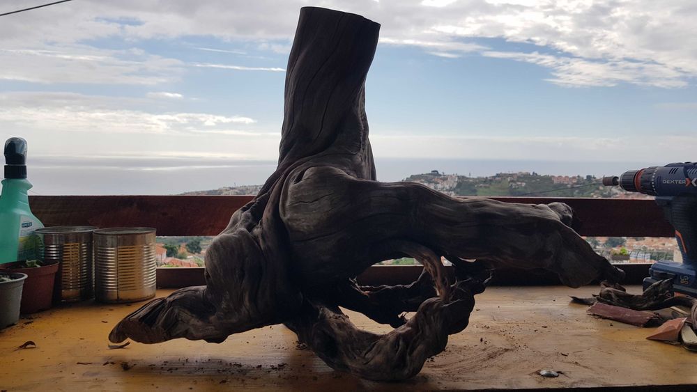 Tronco Urzo limpo para aquário ou decoração