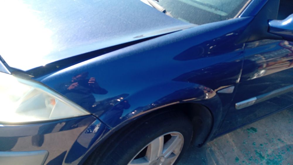 Guarda-lamas esquerdo RENAULT Megane II (BM0/1_, CM0/1_)