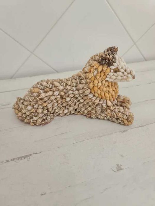 Coleção Conchas Artesanais Artesanato Animais Craft Seashells