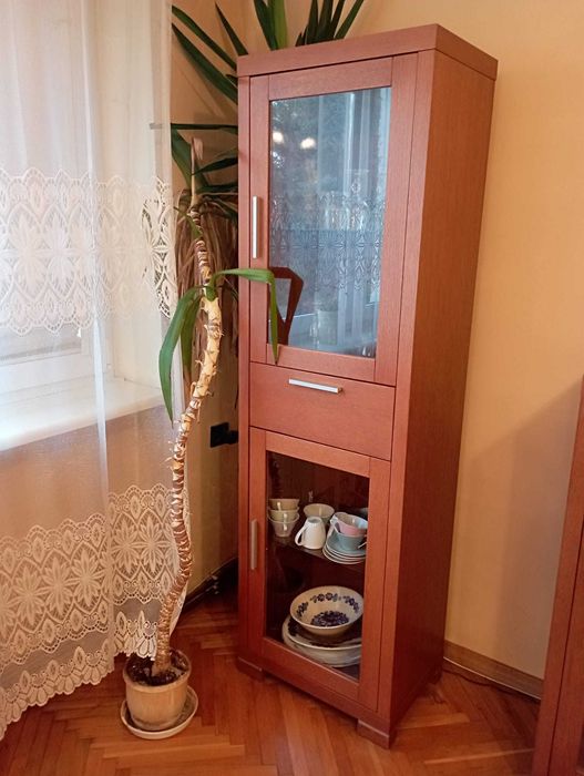 meble do salonu fornirowane, nowoczesne