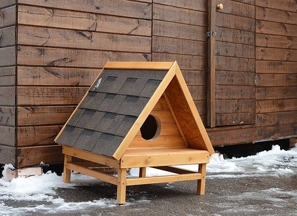 Котячі будки можна замовити у нас