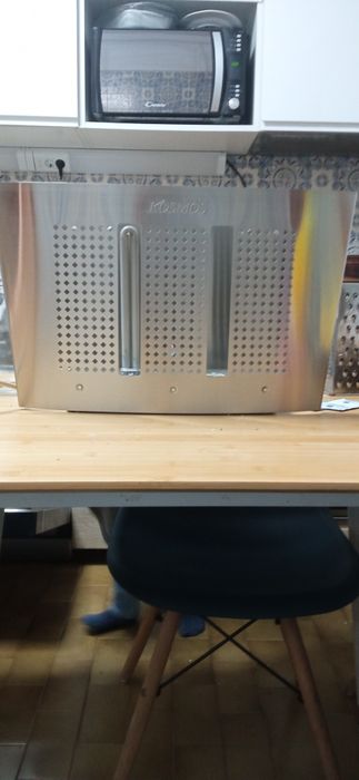 Mata moscas insecto caçador