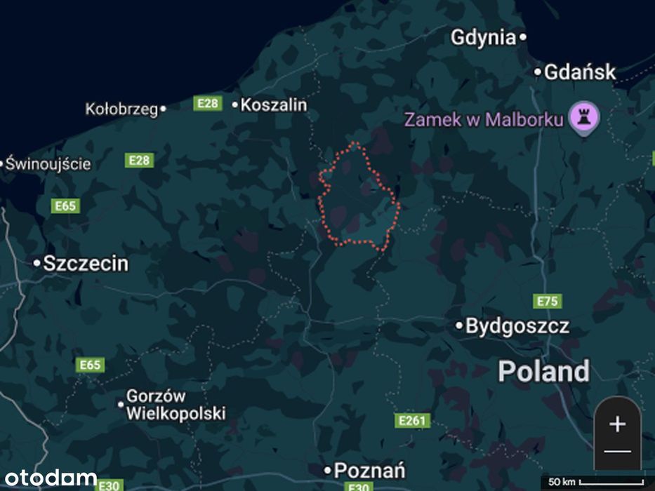 Sprzedaż Gruntu Rolnego 442,27 Ha | Jelnia – Teren Łowiecki