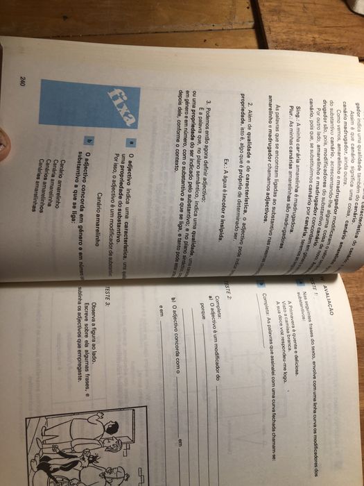 Livro gramatica a lingua e a norma