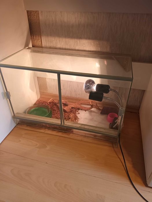 Terrarium dla gada
