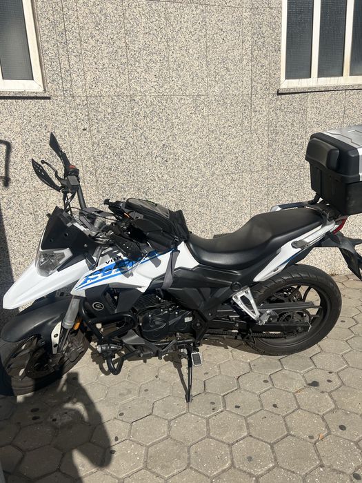 Vortex rx1 2019