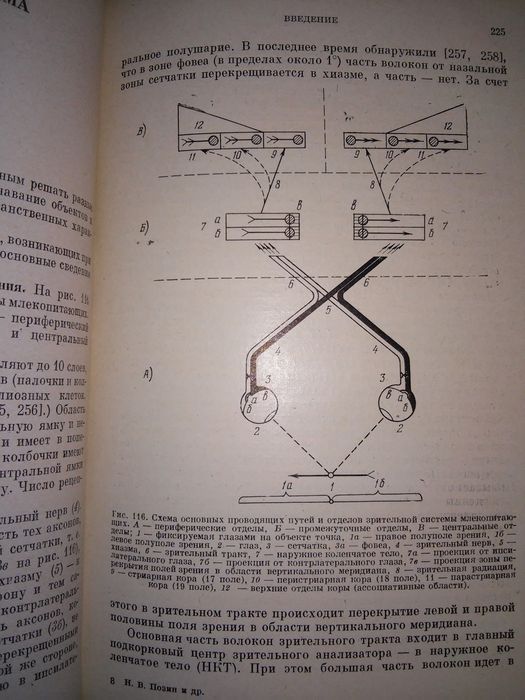 Позин Элементы теории биологических анализаторов 1978