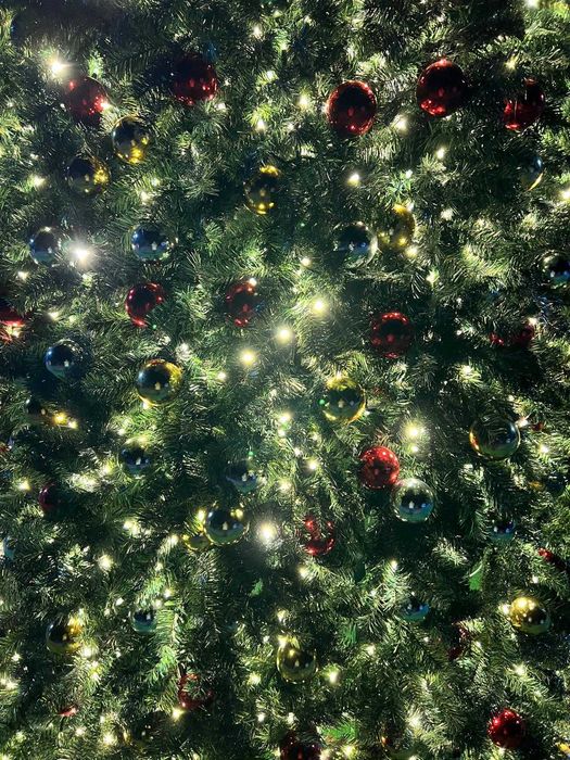 Arvores de Natal
