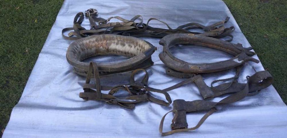 stara uprząż końska