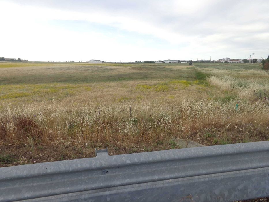Terreno Junto à estrada, a 600 metros de Beja