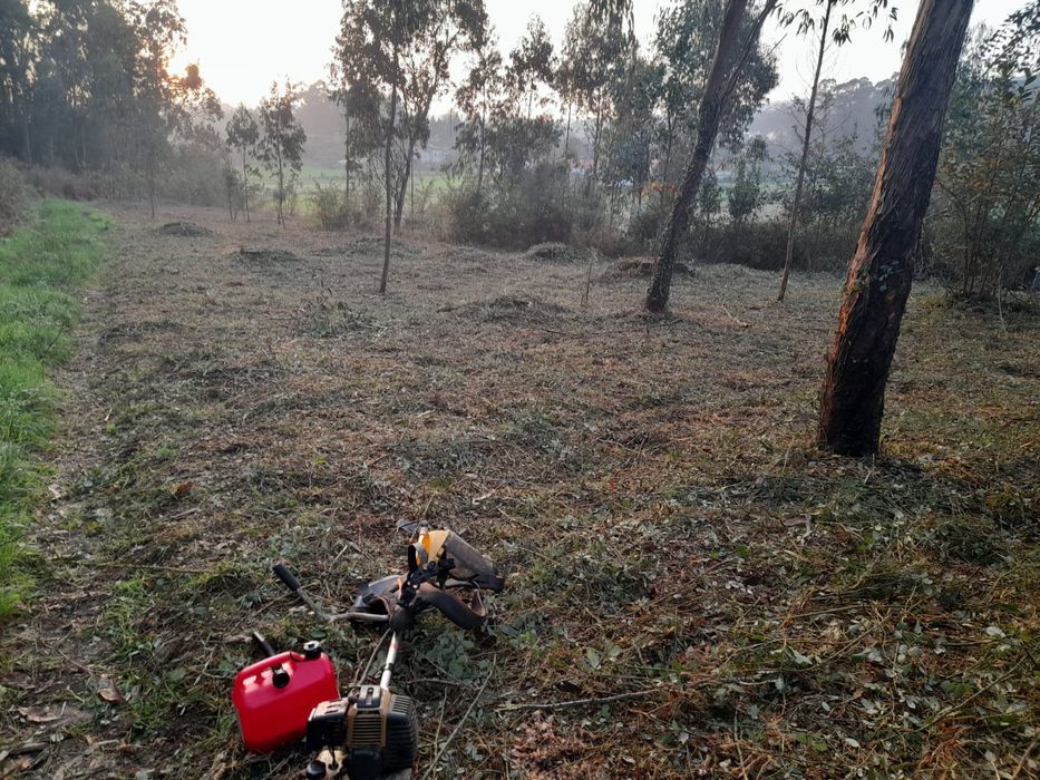 Limpeza de terrenos e manutenção de jardins