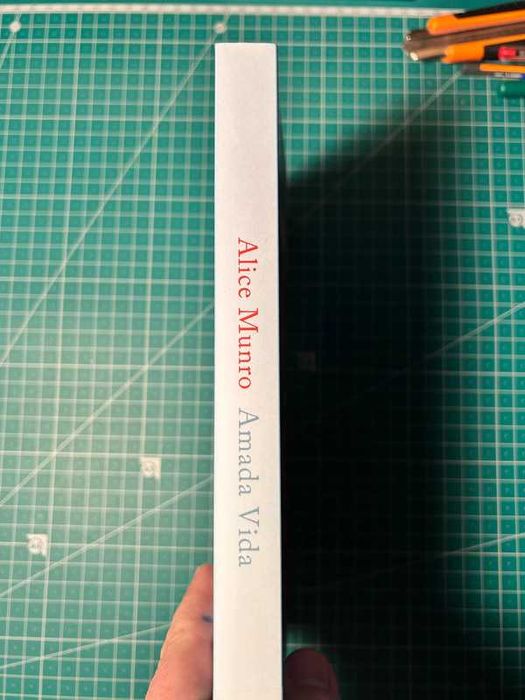 (NOVO) Amada Vida - Alice Munro