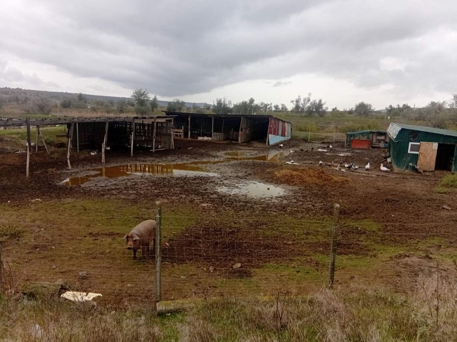 Продам участок 159га. Болград