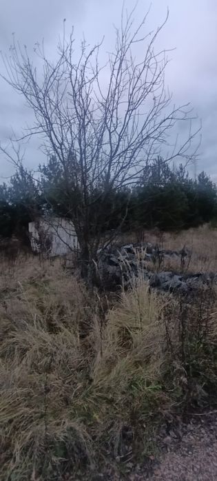 Продам земельну ділянку Іванівка.