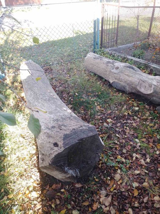 Деревина ясен (сухий)