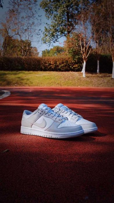 Nike Dunk Low Grey Fog R.43