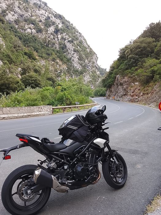 Kawasaki Z900 2025