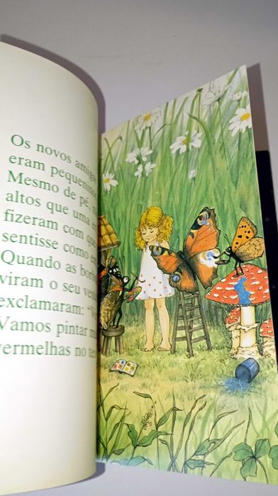 Joaninha e a estrela - Livro Verde (Rose Selarose)